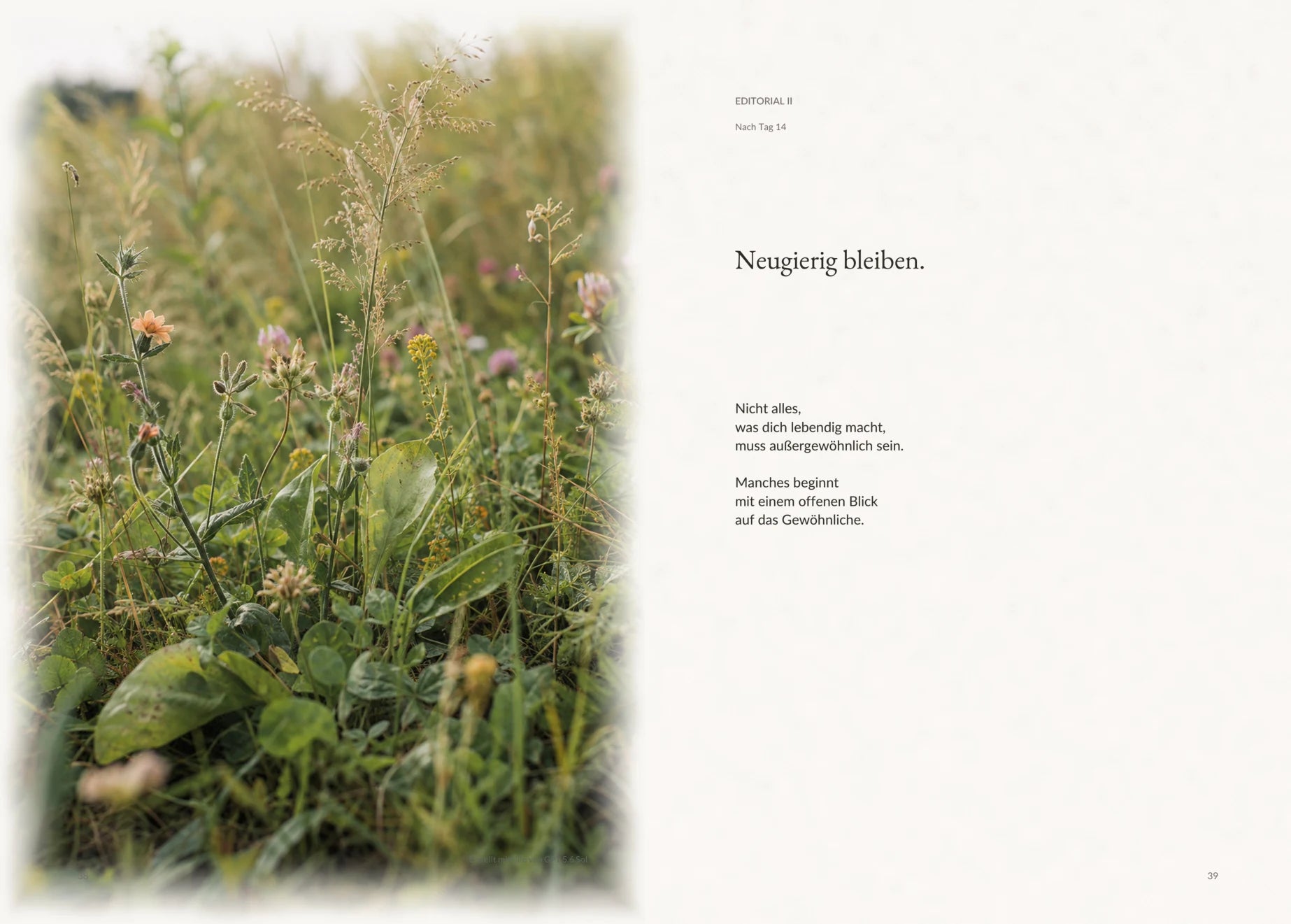 Zweite Editorial-Doppelseite aus LEBENDIG